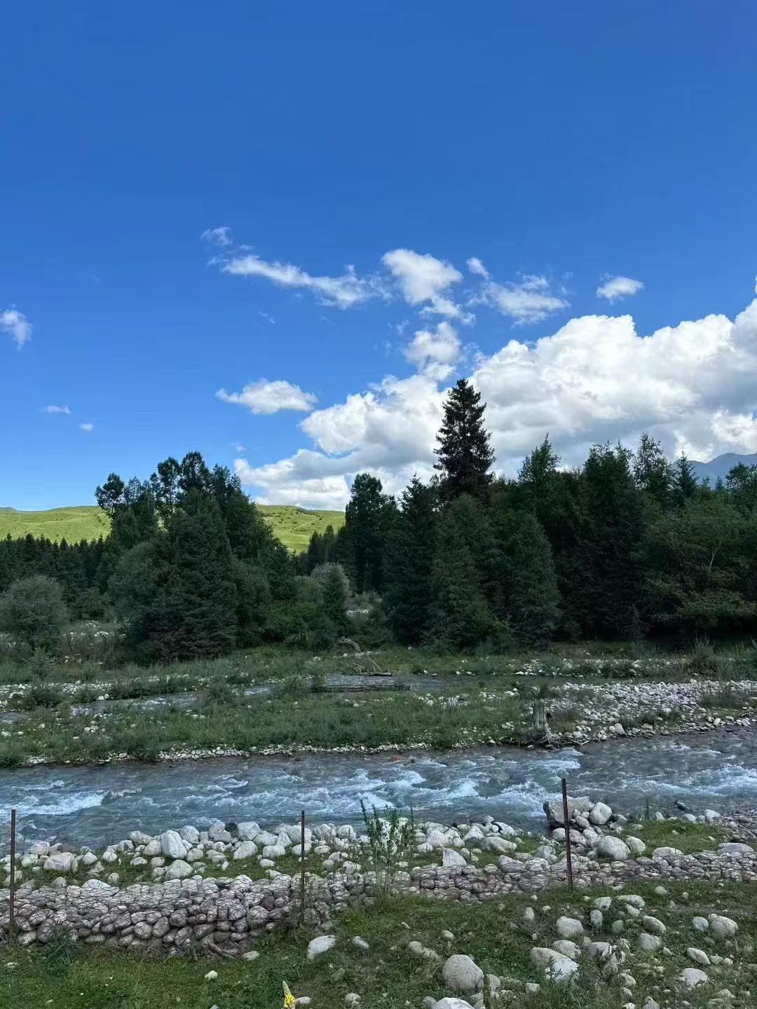 双河旅游定制